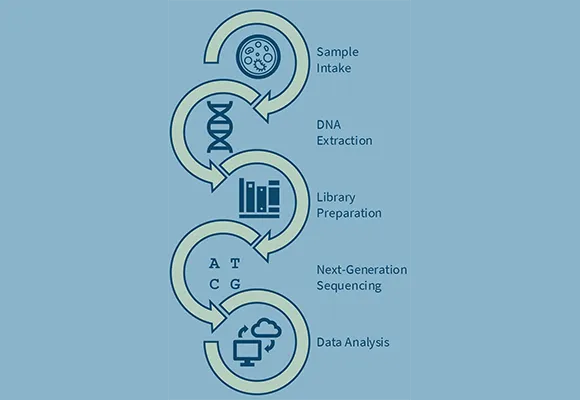 From Sample to Insight - Complete End-to-End Service